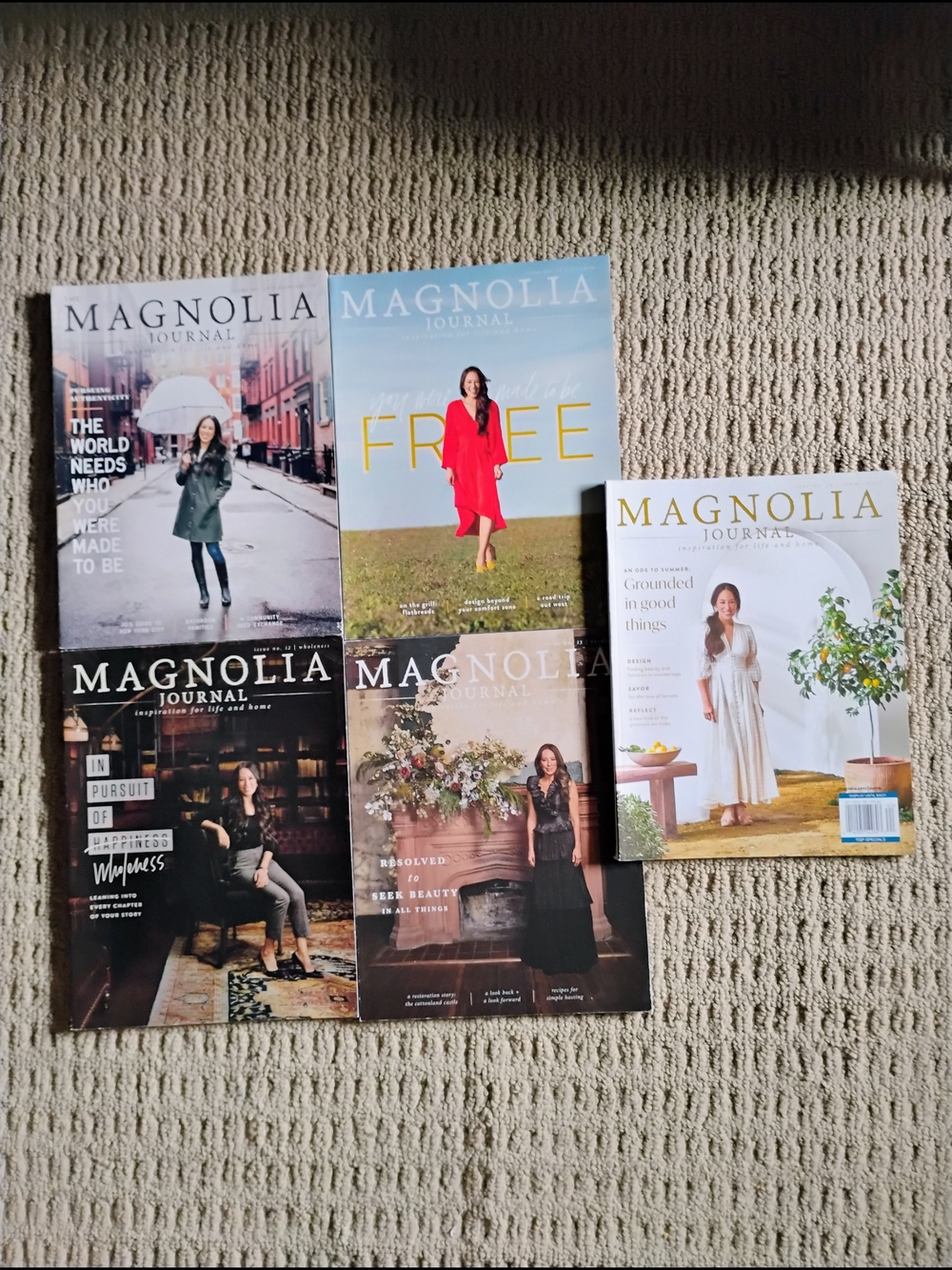 Collection - 5 Issues  2019 Spring, Summer, Fall & Winter  Issue  19 Summer